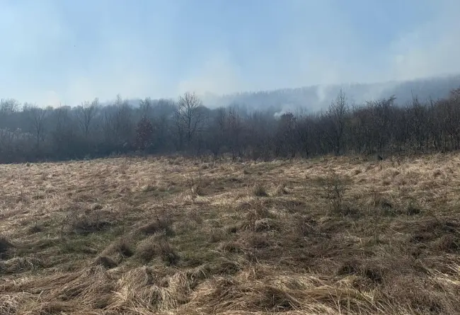 Foto FOTO. Incendiu de vegetaţie uscată la Cungrea. Pompierii încearcă să stingă focul de aproape două ore