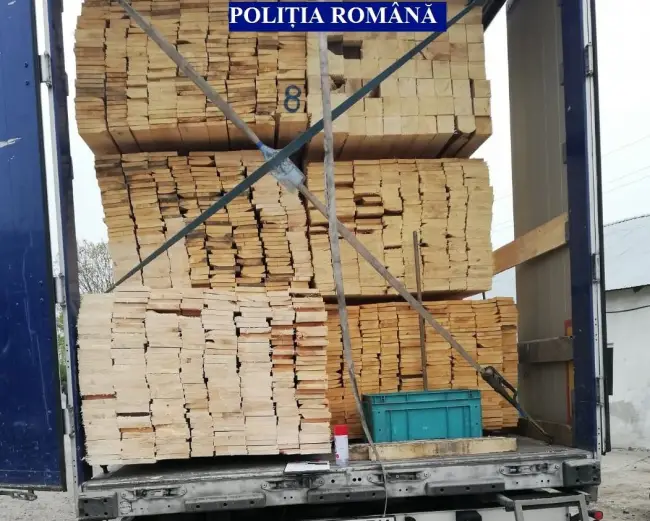 Foto Transport ilegal de material lemnos, depistat în Balş