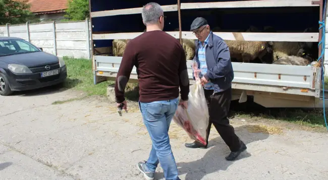 Foto FOTO. Mielul, mai ieftin la ciobani decât în supermarket. Cât economisesc oltenii dacă vor cumpăra din târguri