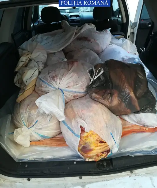 Foto FOTO. Dosar penal pentru doi bărbați din Seaca prinși cu sute de kilograme de carne, în mașini