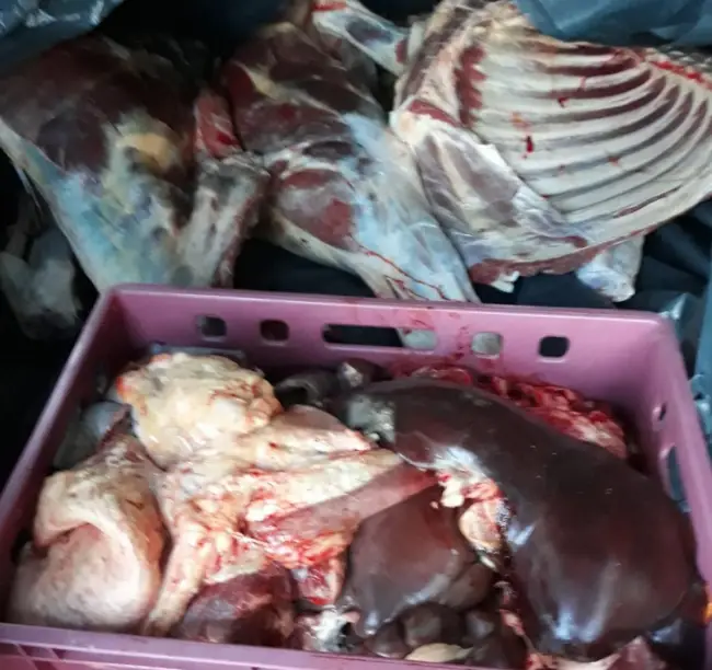 Foto Carcase de carne de vită, confiscate de polițiștii olteni