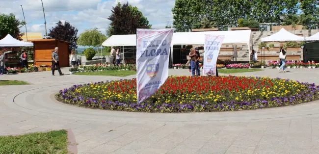 Foto FOTO. S-a deschis Expo Flora 2019. Flori pe toate gusturile, pe Esplanada din centrul Slatinei