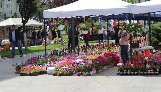 Foto FOTO. S-a deschis Expo Flora 2019. Flori pe toate gusturile, pe Esplanada din centrul Slatinei