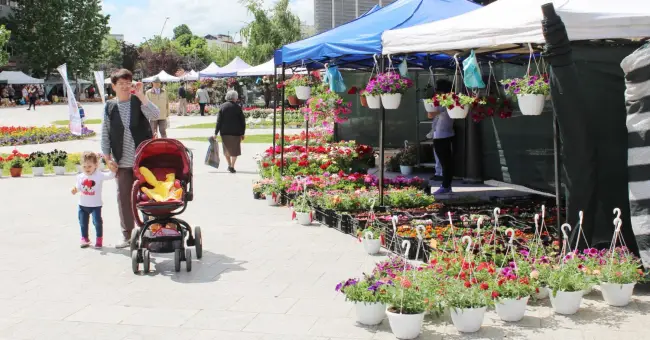 Foto FOTO. S-a deschis Expo Flora 2019. Flori pe toate gusturile, pe Esplanada din centrul Slatinei