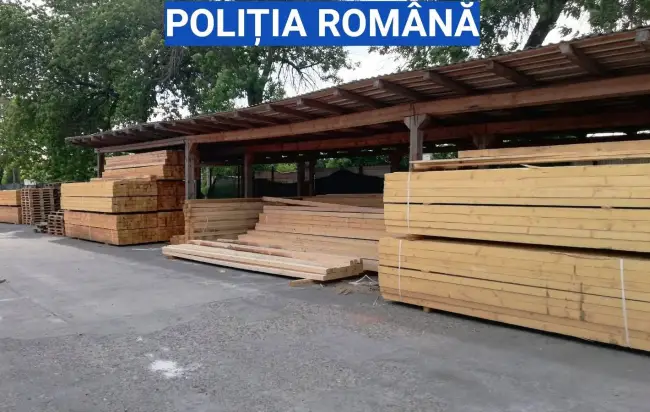 Foto FOTO. Firmă din Balş, amendată de poliţişti pentru încălcarea legislaţiei în domeniul silvic