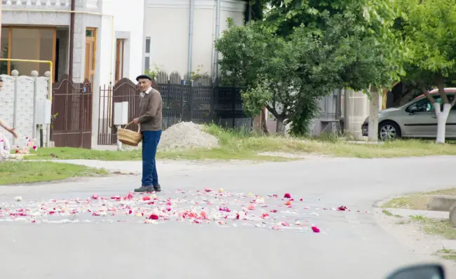 Foto OPULENŢĂ. Petale de trandafiri presărate în calea episcopului Slatinei, la Slătioara - FOTO