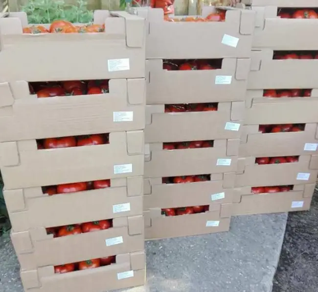 Foto Zeci de tone de roşii de la Urzica, în supermarketuri din Capitală. Legumicultorii olteni vând la preţ avantajos