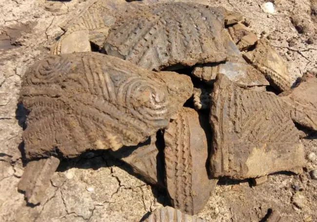 Foto FOTO. Ceramică pictată de Vădastra, descoperită în urma unor săpături arheologice în vatra străveche a Slatinei