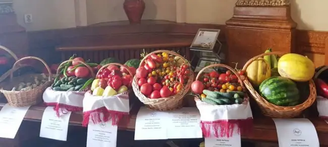 Foto Reprezentanţii cooperativelor din judeţ, întâlnire cu ministrul Agriculturii. Expoziţie cu legume olteneşti