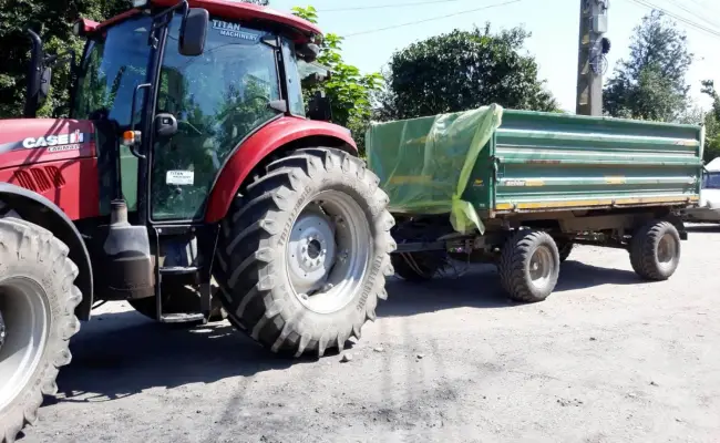 Foto FOTO. Înainte de ucidere, porcii din Cilieni, evaluaţi pentru a se şti cuantumul  despăgubirilor. Cum procedează echipele atunci când extermină animalele