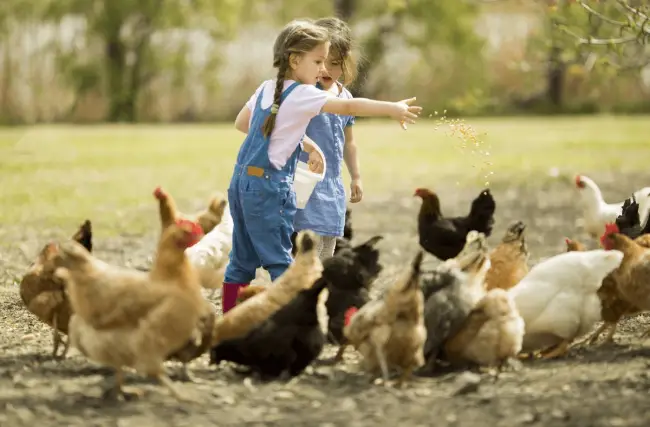 Foto Afacere Rurală: Top 3 idei care și-au dovedit eficiența!