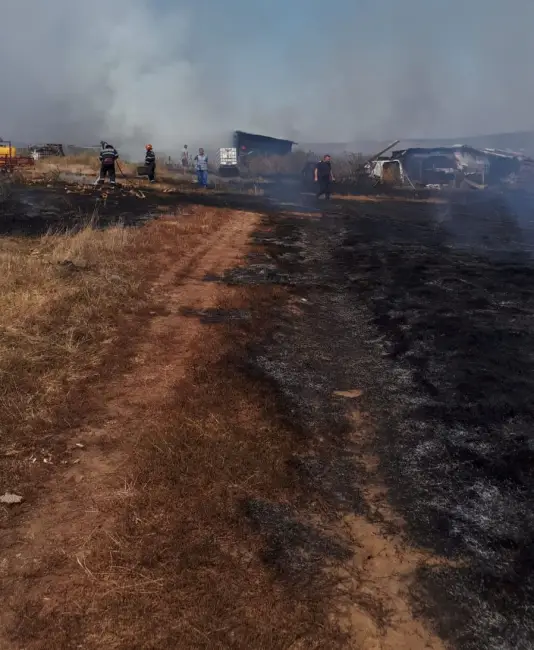 Foto FOTO. Incendiu de proporții la un adăpost de animale din Brebeni. Focul a pornit de la un incendiu de vegetație uscată