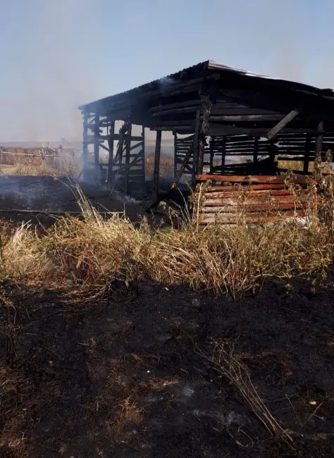 Foto FOTO. Incendiu de proporții la un adăpost de animale din Brebeni. Focul a pornit de la un incendiu de vegetație uscată