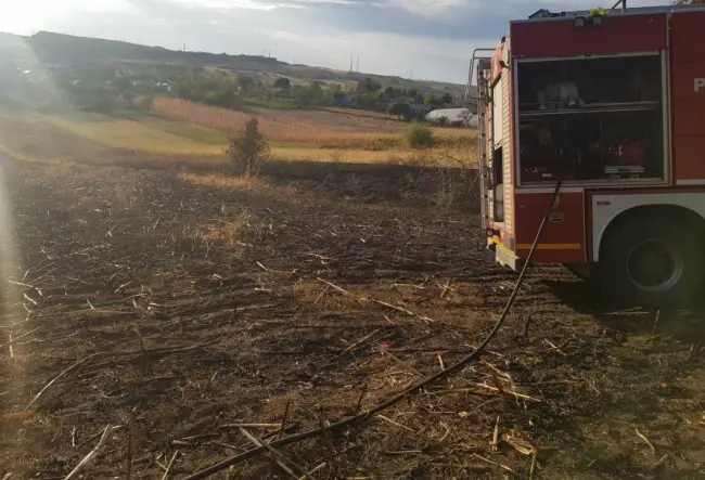Foto FOTO. O femeie a murit într-un incendiu de vegetaţie uscată, la Bobiceşti
