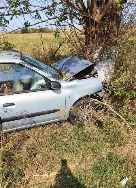 Foto FOTO. Accident mortal, între Corabia şi Gârcov. O maşină a intrat într-un copac de pe marginea drumului