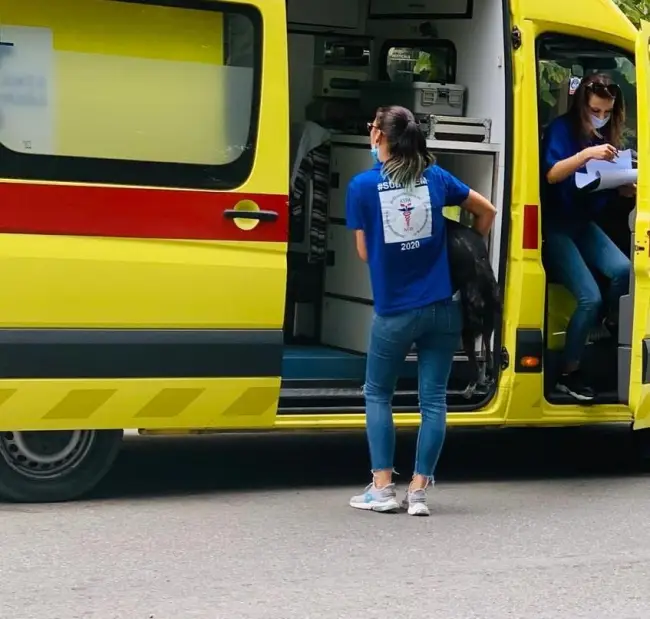 Foto FOTO. A început capturarea câinilor fără stăpân din Caracal