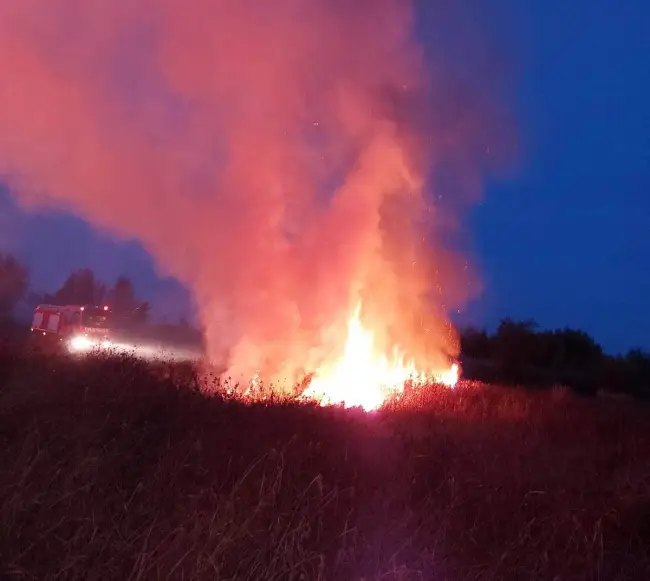Foto VIDEO. Incendiu de vegetaţie uscată, la Piatra-Olt