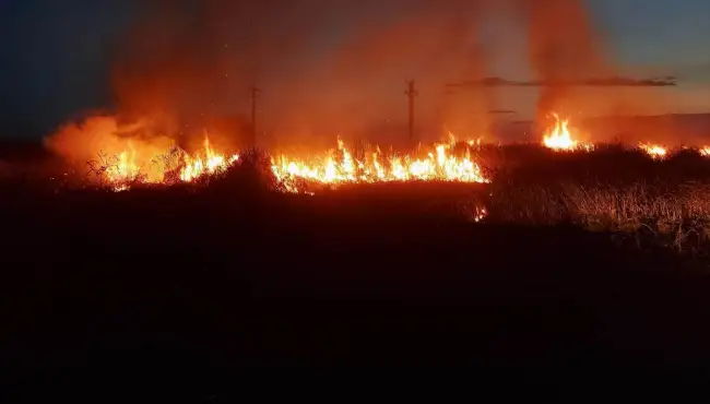 Foto VIDEO. Incendiu de vegetaţie uscată, la Piatra-Olt