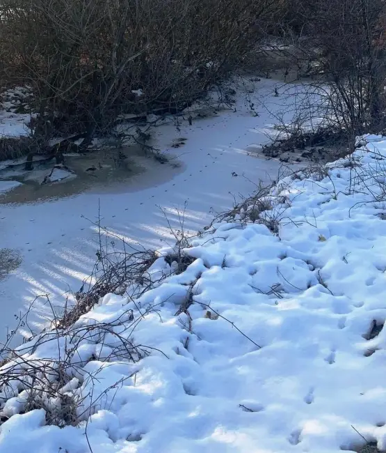 Foto  VIDEO. Ciobanul dispărut în pârâul Bârlui, căutat de scafandrii ISU Olt