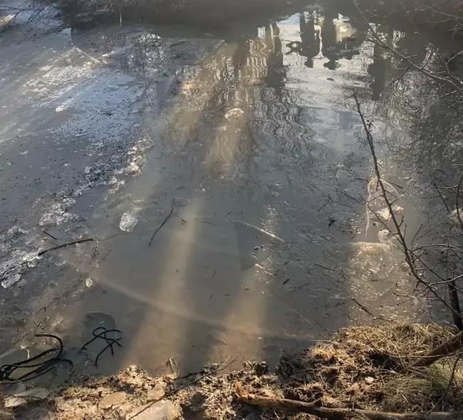 Foto  VIDEO. Ciobanul dispărut în pârâul Bârlui, căutat de scafandrii ISU Olt