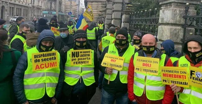 Foto  FOTO&VIDEO. Femieri din Olt, printre protestatarii din faţa Ministerului Agriculturii