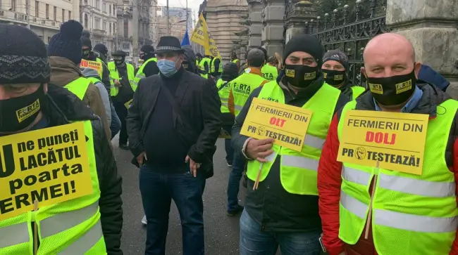 Foto  FOTO&VIDEO. Femieri din Olt, printre protestatarii din faţa Ministerului Agriculturii