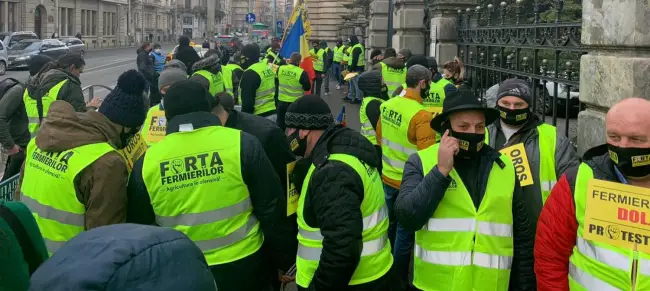 Foto  FOTO&VIDEO. Femieri din Olt, printre protestatarii din faţa Ministerului Agriculturii