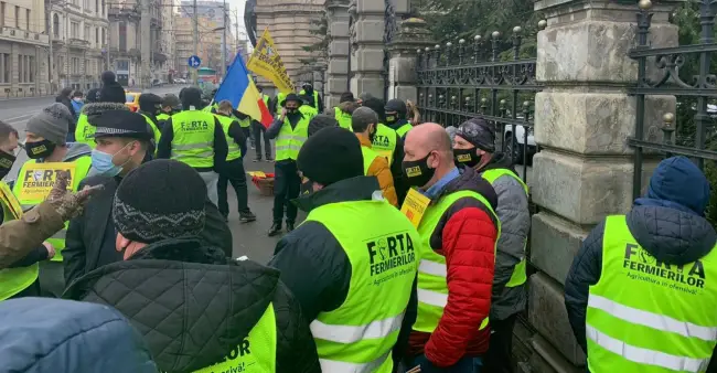 Foto  FOTO&VIDEO. Femieri din Olt, printre protestatarii din faţa Ministerului Agriculturii