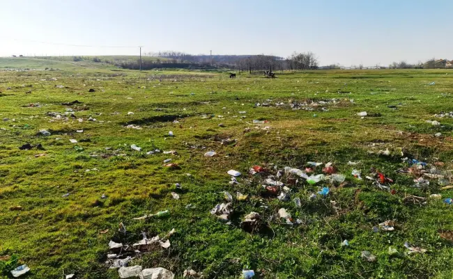 Foto FOTO. Campanie de salubrizare la Brebeni, demarată de primărie