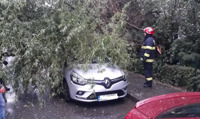 Foto FOTO. Un copac a căzut peste o maşină, pe strada Garofiţei, din Slatina