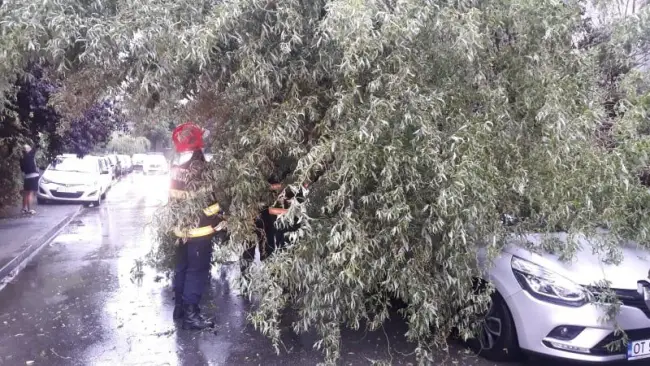 Foto FOTO. Un copac a căzut peste o maşină, pe strada Garofiţei, din Slatina