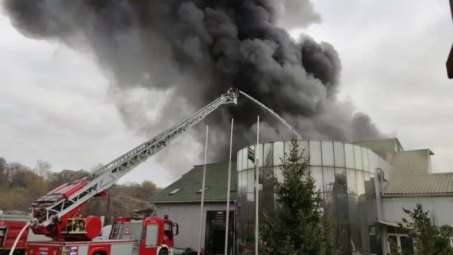 Foto VIDEO. Incendiu la o hală de procesare a cărnii, din Valea Marea