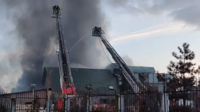 Foto VIDEO. Incendiu la o hală de procesare a cărnii, din Valea Marea