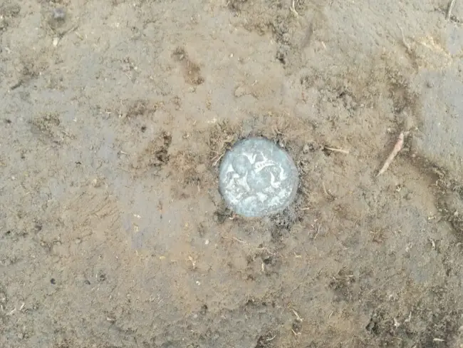 Foto FOTO. Monede antice, găsite într-o pădure din Morunglav. Cercetările arată şi existenţa unei locuiri preistorice în zonă