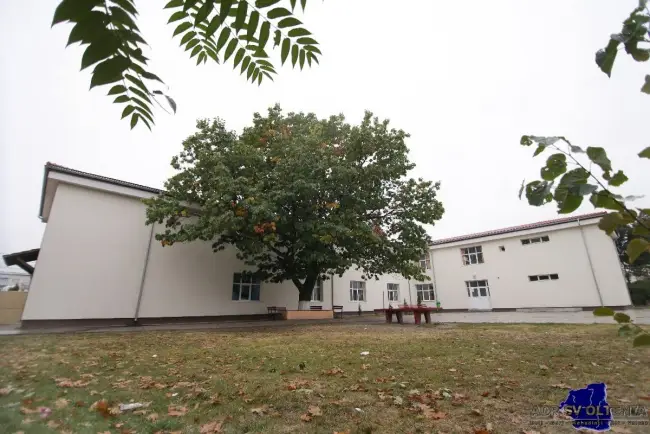 Foto Şcoala „Mihail Drumeş” Balş, reabilitată cu fonduri europene. Investiţie de aproximativ două milioane de lei (FOTO)
