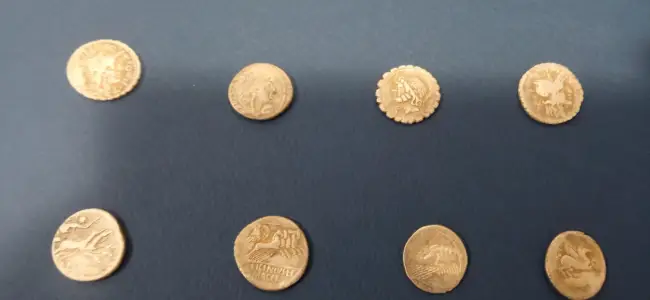 Foto Zeci de monede din perioada romană, găsite la Verguleasa. Tezaurul a ajuns în patrimoniul Muzeului Judeţean Olt