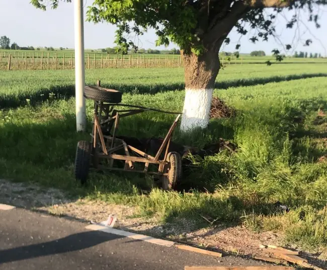 Foto Accident pe DN 54, în zona localităţii Vişina. O căruţă, lovită de o maşină