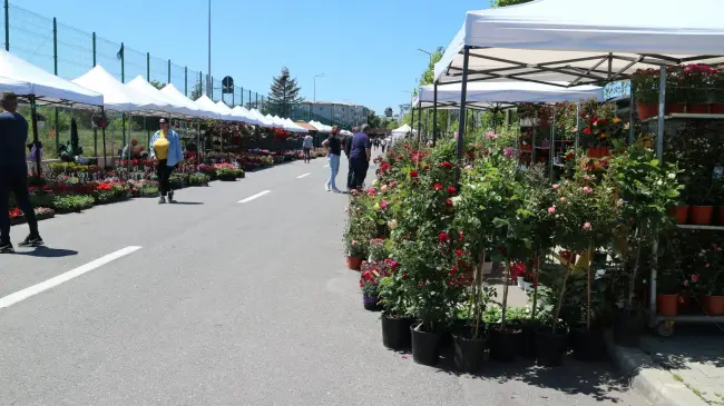 Foto S-a deschis Expo Flora. Ce se poate găsi la prima ediţie de după pandemie (FOTO)