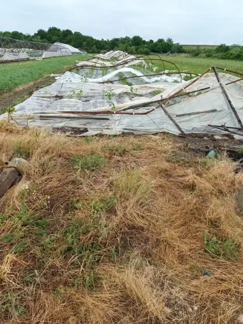 Foto FOTO&VIDEO. Solarii distruse de vânt şi ploaie, în comuna Grădinari