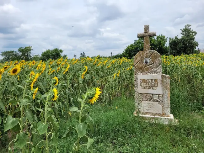 Foto FOTO. Cum arată, astăzi, Conacul Neamţu din Olari, judeţul Olt, a cărui reabilitare a început în urmă cu patru ani