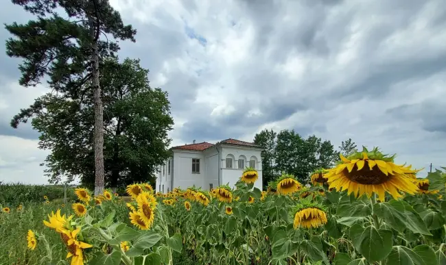 Foto FOTO. Cum arată, astăzi, Conacul Neamţu din Olari, judeţul Olt, a cărui reabilitare a început în urmă cu patru ani