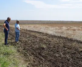 Foto De ce au decis doi fraţi din Olt să nu mai are pământul, în ferma lor. Ce rezultate au obţinut cu semănatul direct (VIDEO)