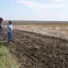 Imagine De ce au decis doi fraţi din Olt să nu mai are pământul, în ferma lor. Ce rezultate au obţinut cu semănatul direct (VIDEO)