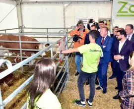 Foto Adrian Chesnoiu (PSD Olt): Bani pentru crescătorii de animale prin schemele de sprijin cuplat