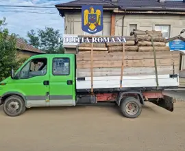 Foto Transport ilegal de lemne, depistat la Găneasa