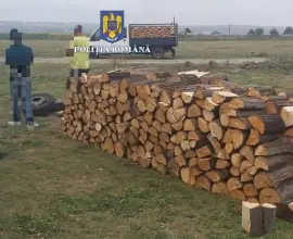 Foto FOTO. Transporturi ilegale de material lemnos depistate pe DN 6, în comuna Dăneasa