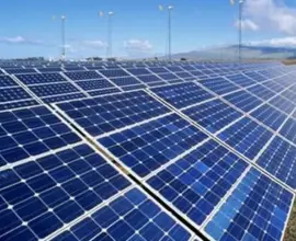 Foto Primăria Caracal face un parc fotovoltaic cu fonduri europene. Energia produsă va putea alimenta iluminatul public din oraş şi clădirile municipalităţii