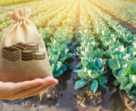 Foto Solicitanţii de microgranturi în domeniul agroalimentar trebuie să depună rapoartele de progres în sistemul informatic Granturi IMM