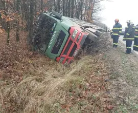 Foto VIDEO. Un camion încărcat cu porci s-a răsturnat în zona localităţii Optaşi-Măgura