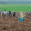 Foto Acţiune de plantare copaci cu peste 300 de voluntari, în comuna Mărunţei 